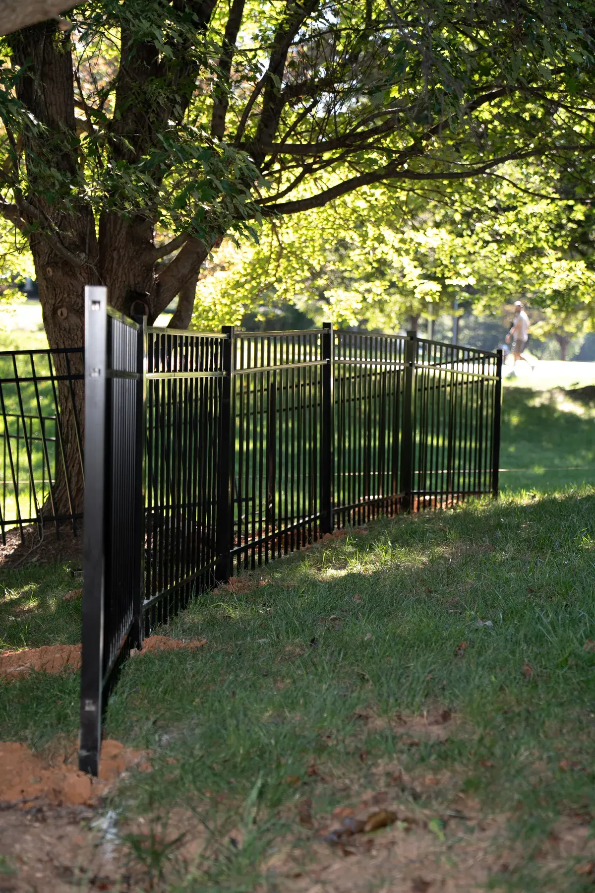 Black aluminum fence circling a mature shade tree, under Our Fencing Projects