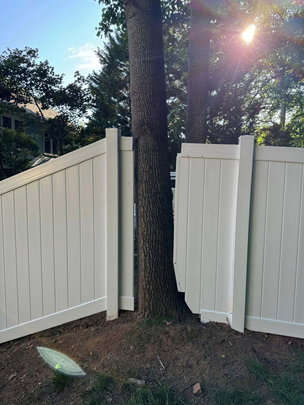 Black aluminum fence wrapping a shade tree, under Our Fencing Projects