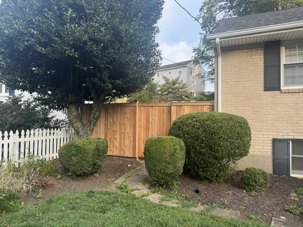 Cedar stockade privacy fence, under Our Fencing Projects