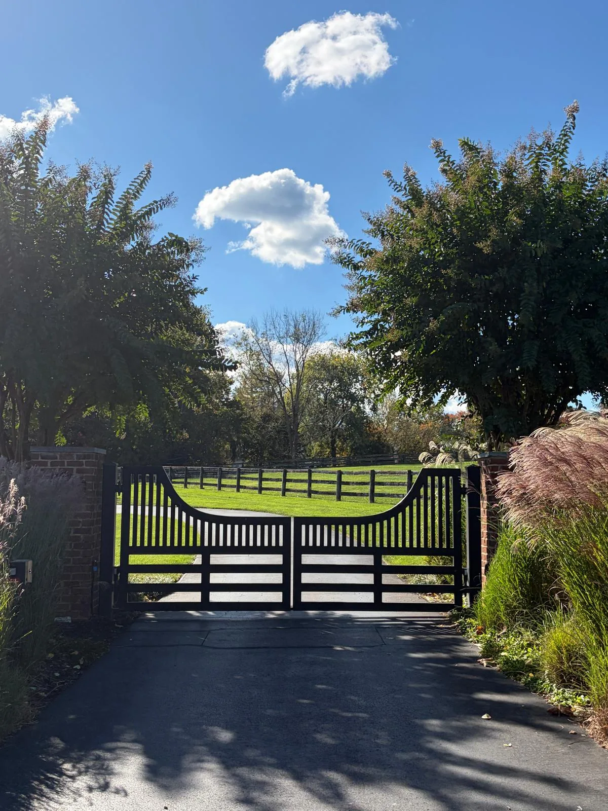 Aluminum farm gate at a pasture entry, under Our Fencing Projects