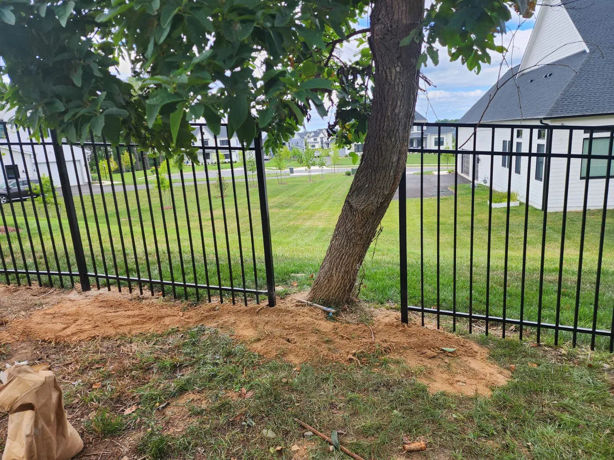 Black aluminum fence built around a mature tree, under Our Fencing Projects