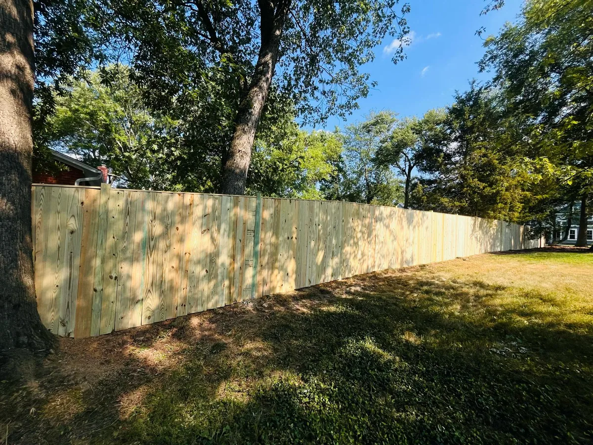 White vinyl privacy fence curved around a mature shade tree, under Our Fencing Projects