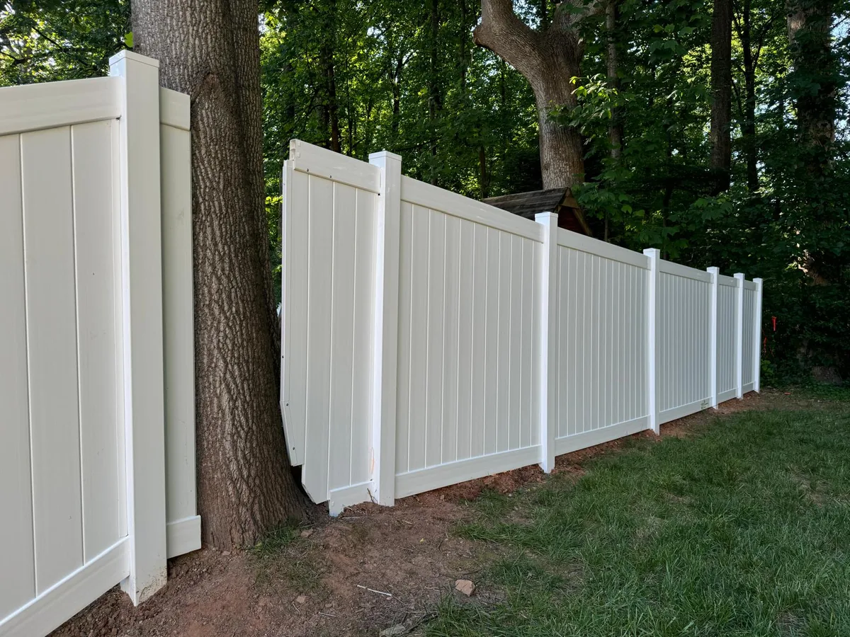 White vinyl fence line curved around a mature tree, under Our Fencing Projects