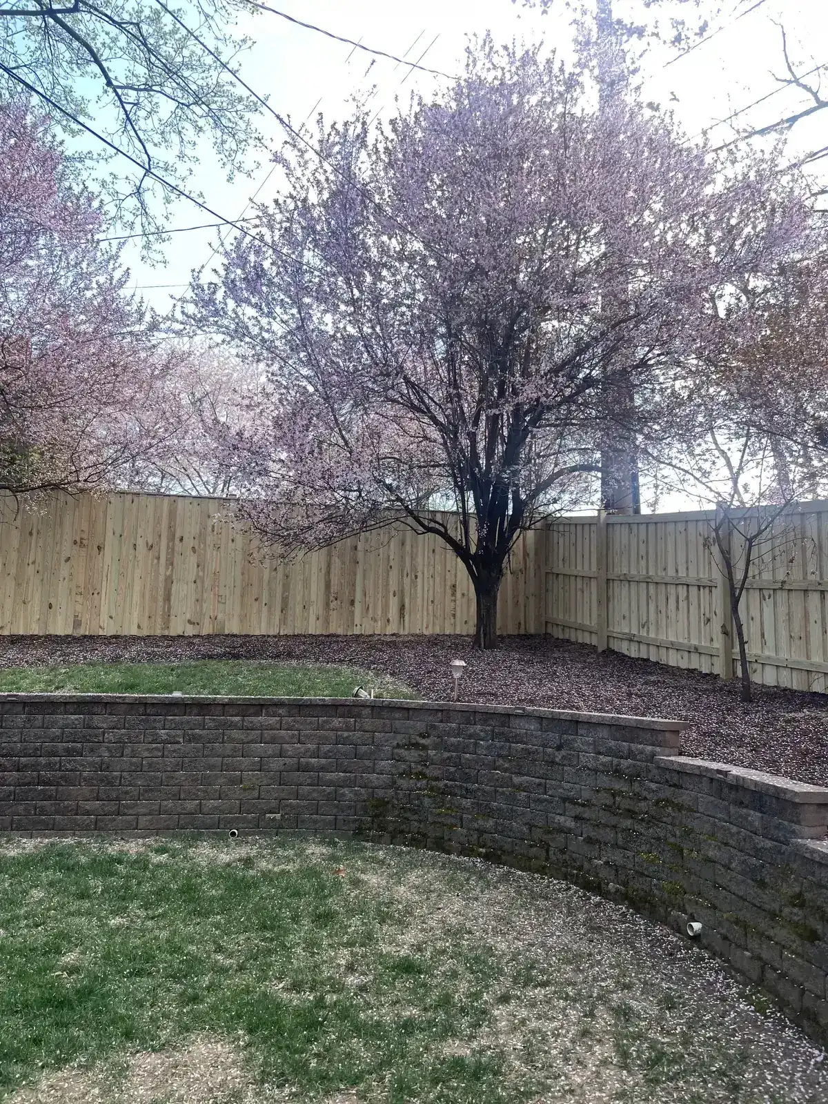 Wood board-on-board privacy fence, under Our Fencing Projects