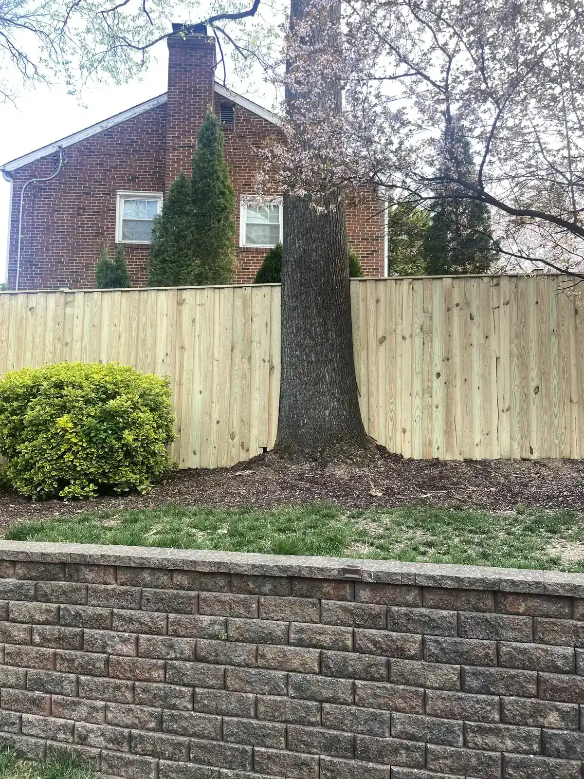 Wood stockade fence framed around a mature tree, under Our Fencing Projects