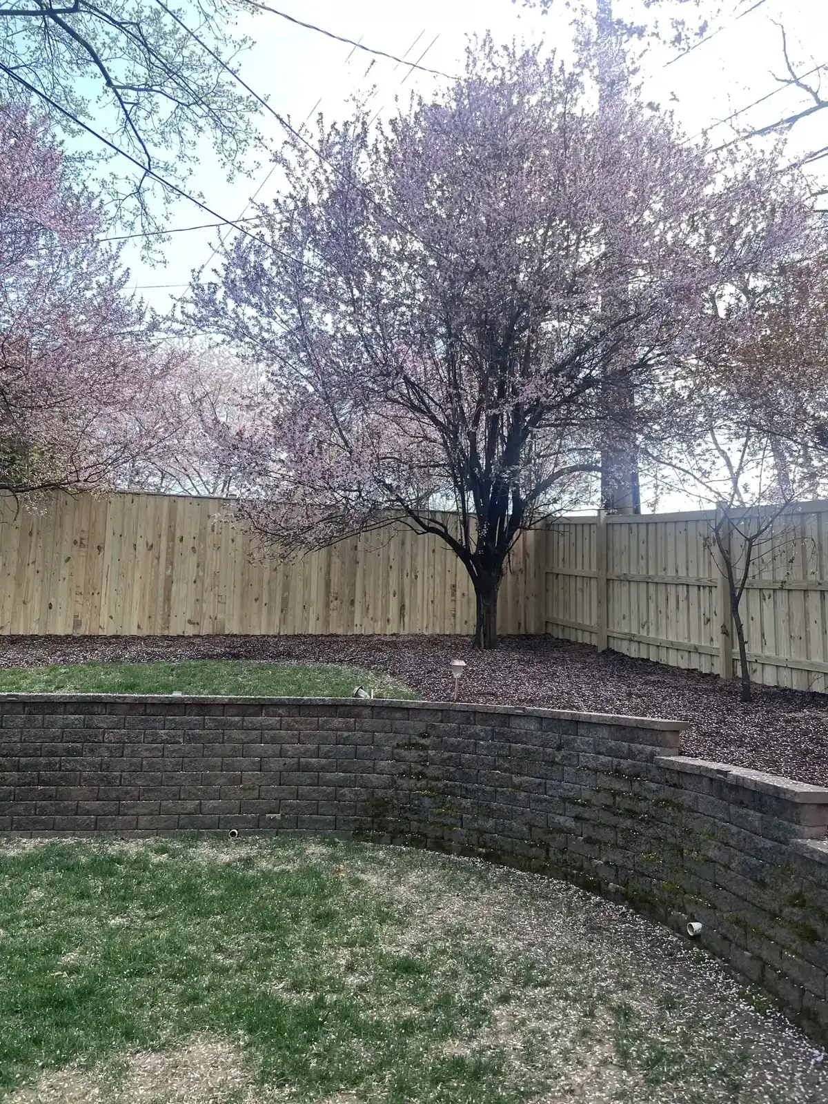 The classic swap: tired boards and soft posts replaced with a fresh privacy line., under Fence Replacement & Old Fence Removal