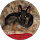 Jean Demello profile picture